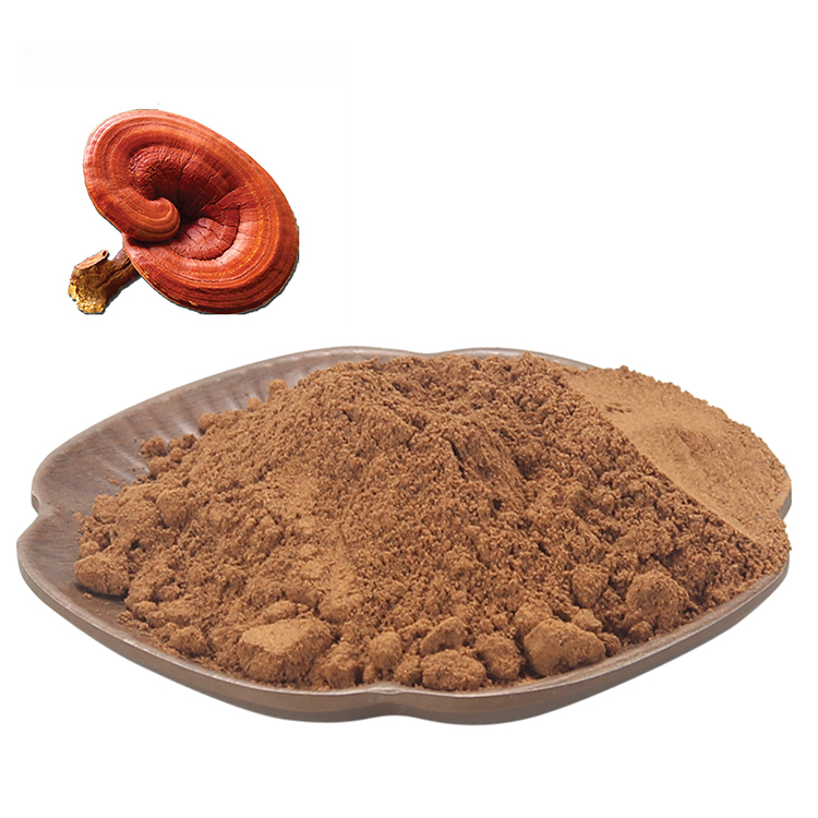 Can Reishi Mushroom Improve Sleep Quality Naturally?